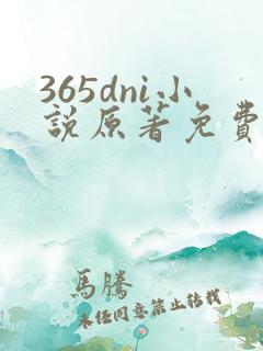 365dni小说原著免费阅读