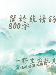 关于亲情的美文800字