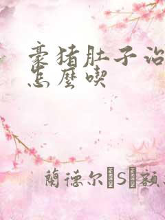 豪猪肚子治胃病怎么吃