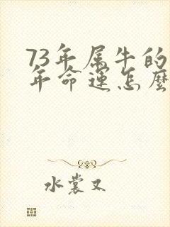 73年属牛的今年命运怎么样