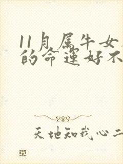 11月属牛女人的命运好不好