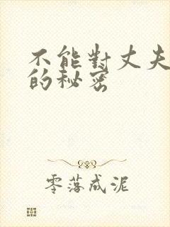 不能对丈夫说出的秘密