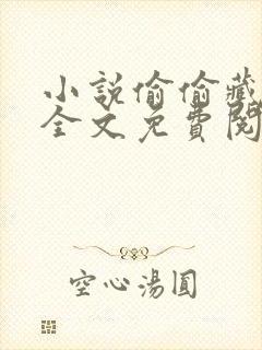 小说偷偷藏不住全文免费阅读免费