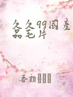 久久99国产精品毛片