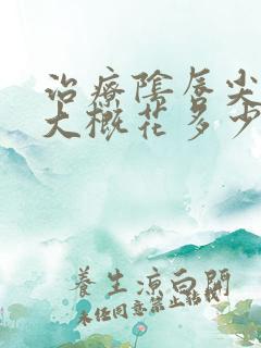 治疗阴唇尖疣湿大概花多少钱