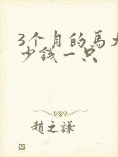 3个月的马犬多少钱一只