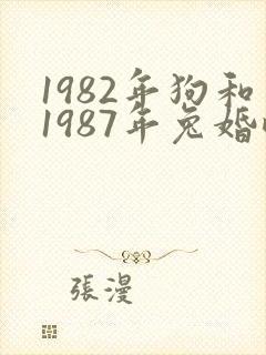1982年狗和1987年兔婚配