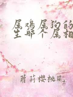 属鸡属狗的夫妻生哪个属相的孩子