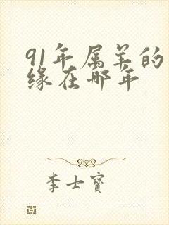 91年属羊的正缘在哪年