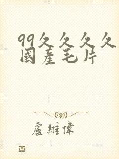 99久久久久久国产毛片