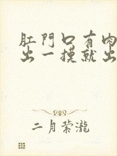 肛门口有肉球突出一摸就出血