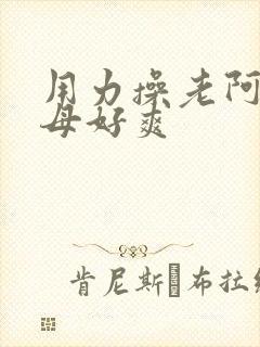 用力操老阿姨岳母好爽