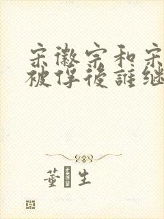 宋徽宗和宋钦宗被俘后谁继承皇位