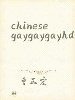 chinesegaygaygayhd