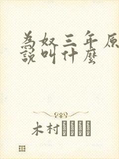 为奴三年原著小说叫什么