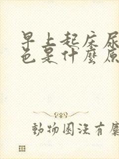 早上起床尿液黄色是什么原因