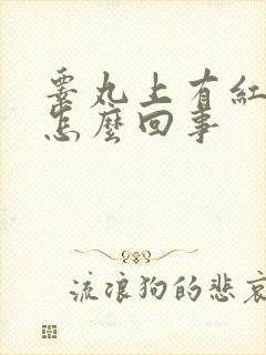 睾丸上有红斑点怎么回事