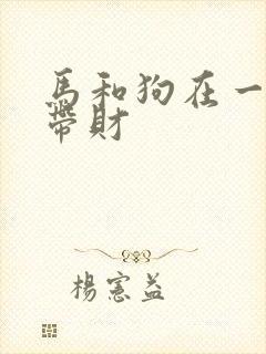 马和狗在一起谁带财