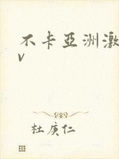 不卡亚洲激情av