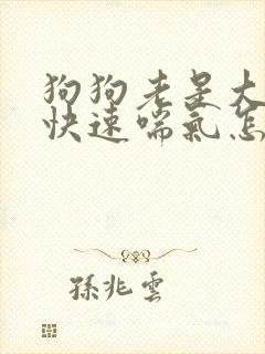 狗狗老是大口且快速喘气怎么回事