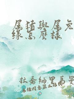 属猪与属兔的姻缘怎么样