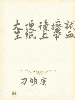 大便后擦试时卫生纸上带血是怎么回事