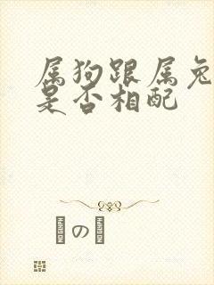 属狗跟属兔婚姻是否相配