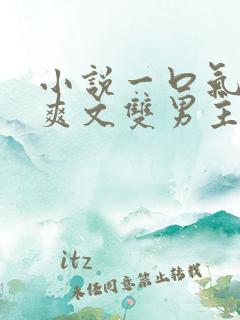 小说一口气看完爽文双男主