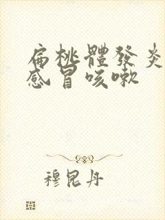 扁桃体发炎发烧感冒咳嗽