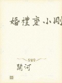 婚礼变小刚陈芳