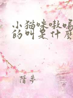 小猫咪嗷呜嗷呜的叫是什么意思