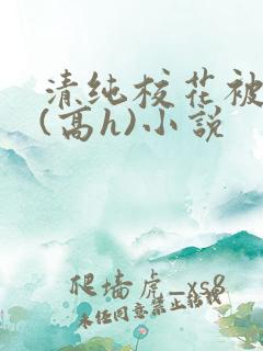 清纯校花被调教(高h)小说