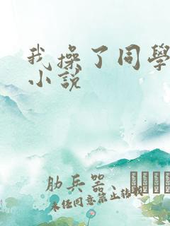 我操了同学妈妈小说