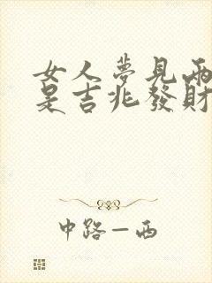 女人梦见两条蛇是吉兆发财