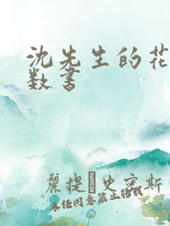 沈先生的花式调数书