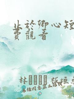 止于卿心短剧免费观看