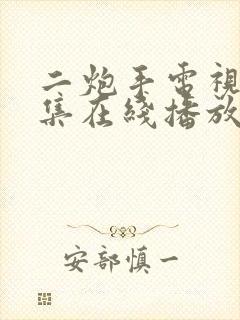 二炮手电视剧全集在线播放