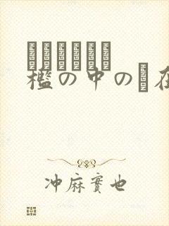 ダークシェル 槛の中の艶在线观看