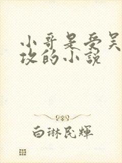 小哥是受吴邪是攻的小说