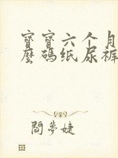 宝宝六个月用什么码纸尿裤