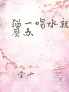 猫一喝水就吐怎么办