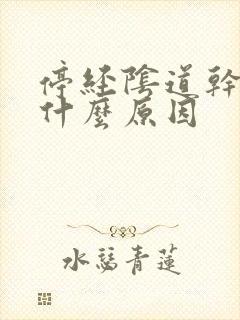 停经阴道干涩是什么原因