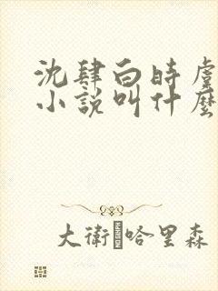 沈肆白时虞原著小说叫什么名字