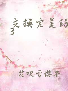 交换完美的邻居3