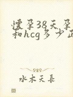 怀孕38天孕酮和hcg多少正常