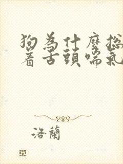 狗为什么总是伸着舌头喘气