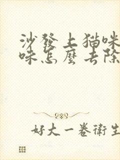 沙发上猫咪尿骚味怎么去除