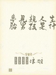 梦见亲人生双胞胎男孩是什么意思