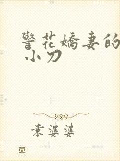 警花娇妻的蜕变 小刀