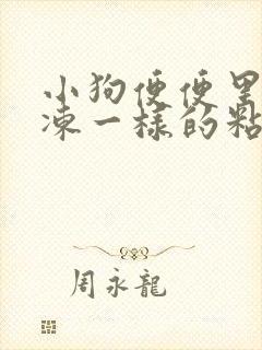 小狗便便里有果冻一样的粘液